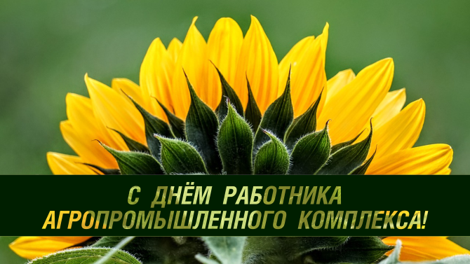 С Днём работника сельского хозяйства и перерабатывающей промышленности! С Днём работника сельского хозяйства и перерабатывающей промышленности!